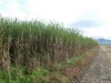Address available on request, Midgenoo, Qld 4854-Image