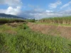 Address available on request, Midgenoo, Qld 4854-Image
