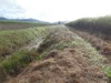 Address available on request, Midgenoo, Qld 4854-Image