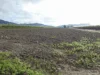 Address available on request, Midgenoo, Qld 4854-Image