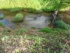 Address available on request, Midgenoo, Qld 4854-Image