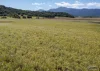 Address available on request, Mirriwinni, Qld 4871-Image