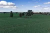 Address available on request, Wunghnu, Vic 3635-Image
