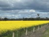 Address available on request, Wunghnu, Vic 3635-Image