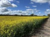 Address available on request, Wunghnu, Vic 3635-Image