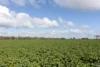 Address available on request, Wunghnu, Vic 3635-Image
