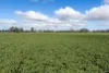 Address available on request, Wunghnu, Vic 3635-Image