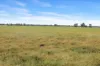 Amaroo Drive, Moree, NSW 2400-Image