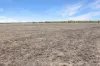 Amaroo Drive, Moree, NSW 2400-Image