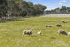 Armytage Road, Winchelsea, Vic 3241-Image