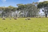 Armytage Road, Winchelsea, Vic 3241-Image