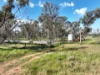 'Balbirini' 664 Westella Road, Geurie NSW 2818-Image
