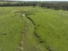 'Balbirini' 664 Westella Road, Geurie NSW 2818-Image