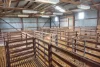 'Barunga West' Tower View Road, Wokurna, SA 5520-Image