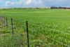 'Barunga West' Tower View Road, Wokurna, SA 5520-Image