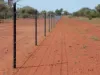 "Belvedere" 2264 Dowling Track, North Bourke, NSW 2840-Image