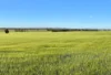 Binneguy Station, Biniguy, NSW 2399