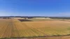 Binneguy Station, Biniguy, NSW 2399-Image