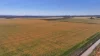 Binneguy Station, Biniguy, NSW 2399-Image