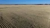 Binneguy Station, Biniguy, NSW 2399-Image