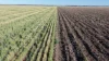 Binneguy Station, Biniguy, NSW 2399-Image