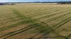 Binneguy Station, Biniguy, NSW 2399-Image