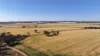 Binneguy Station, Biniguy, NSW 2399-Image