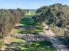 'Cairndale' Dukes Highway, Keith SA 5267-Image