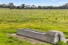 'Cairndale' Dukes Highway, Keith SA 5267-Image