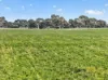 'Cairndale' Dukes Highway, Keith SA 5267-Image