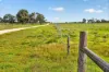 'Cairndale' Dukes Highway, Keith SA 5267-Image