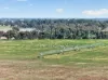 'Cairndale' Dukes Highway, Keith SA 5267-Image