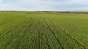 'Cavan Downs' Heaslip Highway, Huddleston, SA 5523-Image