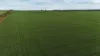 'Cavan Downs' Heaslip Highway, Huddleston, SA 5523-Image