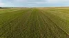 'Cavan Downs' Heaslip Highway, Huddleston, SA 5523-Image
