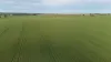 'Cavan Downs' Heaslip Highway, Huddleston, SA 5523-Image