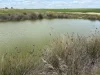 . 'Charm Hill', Dowerin, WA 6461-Image