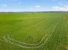 'Clifford Farm' Spencer Highway, Clements Gap SA 5523-Image