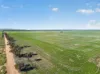'Clifford Farm' Spencer Highway, Clements Gap SA 5523-Image