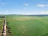 'Clifford Farm' Spencer Highway, Clements Gap SA 5523-Image