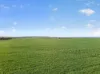 'Clifford Farm' Spencer Highway, Clements Gap SA 5523-Image
