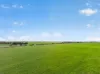 'Clifford Farm' Spencer Highway, Clements Gap SA 5523-Image