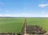 'Clifford Farm' Spencer Highway, Clements Gap SA 5523-Image
