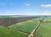 'Clifford Farm' Spencer Highway, Clements Gap SA 5523-Image