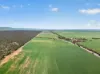 'Clifford Farm' Spencer Highway, Clements Gap SA 5523-Image
