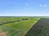'Clifford Farm' Spencer Highway, Clements Gap SA 5523-Image