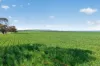 'Clifford Farm' Spencer Highway, Clements Gap SA 5523-Image