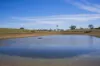 Combaning Road, Temora, NSW 2666-Image