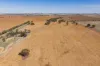 Combaning Road, Temora, NSW 2666-Image
