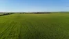 'Condowie' 1 Smitham Road, Condowie, SA 5464-Image